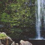 Jameson Fritsch Profile Picture