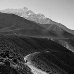 Cooper Rosenbaum Profile Picture