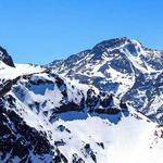 Lola Carter Profile Picture