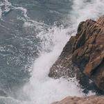 Tatum Parisian Profile Picture