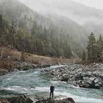 Shaylee Sipes Profile Picture