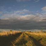 Gerson Bechtelar Profile Picture