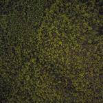 Magdalena Bechtelar Profile Picture