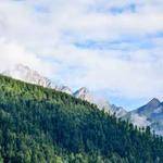 Marietta Murazik Profile Picture