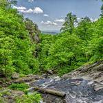 Favian Rogahn Profile Picture