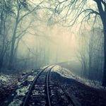 Jarrett Gibson Profile Picture