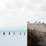 Derek Okuneva Profile Picture