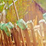 Jayme Grant Profile Picture