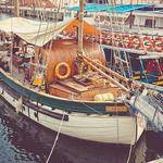 Icie Satterfield Profile Picture