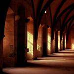 Emerald Homenick Profile Picture