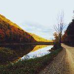 Evie Heaney Profile Picture