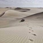 Dallin Purdy Profile Picture