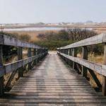 Devan Hintz Profile Picture