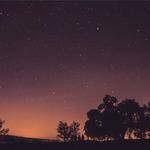 Chelsie Adams Profile Picture