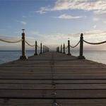 Jayme Lemke Profile Picture