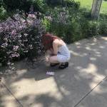 Six Perkumas Profile Picture