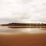 Rae Kling Profile Picture