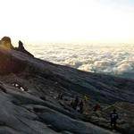 Adan Wuckert Profile Picture