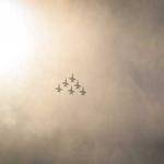 Florian Bartell Profile Picture