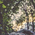 Conrad Paucek Profile Picture