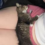 Madison Clark Profile Picture