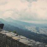 Nichole Bayer Profile Picture