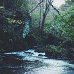 Jaylon Ratke Profile Picture