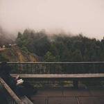 Trevion Koelpin Profile Picture