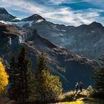 Zander Ernser Profile Picture