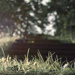 Kaleigh Bogisich Profile Picture