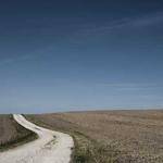 Raymundo Wolff Profile Picture