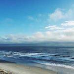 Claudine Raynor Profile Picture