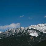 Foster Harber Profile Picture