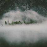 Edwin Heaney Profile Picture