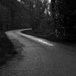 Deshaun Rogahn Profile Picture