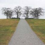 Josefa Bahringer Profile Picture