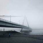 Dolly Stanton Profile Picture