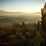 Brian Huel Profile Picture