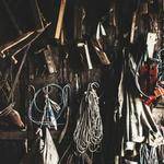 Sonya Stanton Profile Picture