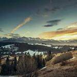 Yazmin Lowe Profile Picture