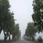 Lelah Hayes Profile Picture