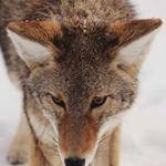 Viviane Lebsack Profile Picture