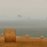 Rupert Herman Profile Picture