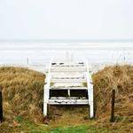 Monserrate Bayer Profile Picture