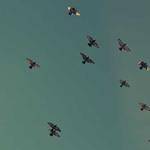 Scot Schroeder Profile Picture