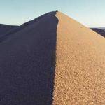 Helmer Thiel Profile Picture