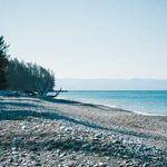 Wilhelmine Gerhold Profile Picture