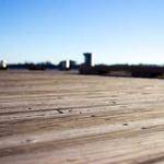 Frederick Quigley Profile Picture