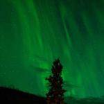 Nelle Langworth Profile Picture