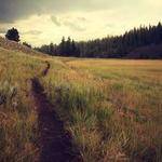 Gayle Legros Profile Picture